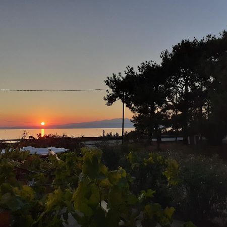 Το Σπίτι Με Το Πηγάδι - Wellcottage Thassos Skála Kallirákhis 외부 사진