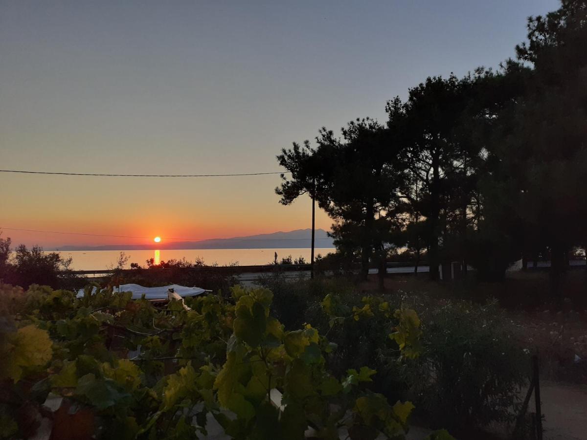 Το Σπίτι Με Το Πηγάδι - Wellcottage Thassos Skála Kallirákhis 외부 사진