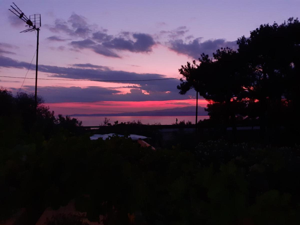 Το Σπίτι Με Το Πηγάδι - Wellcottage Thassos Skála Kallirákhis 외부 사진