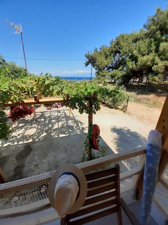 Το Σπίτι Με Το Πηγάδι - Wellcottage Thassos Skála Kallirákhis 외부 사진