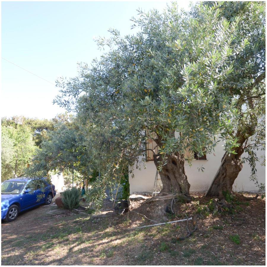 Το Σπίτι Με Το Πηγάδι - Wellcottage Thassos Skála Kallirákhis 외부 사진