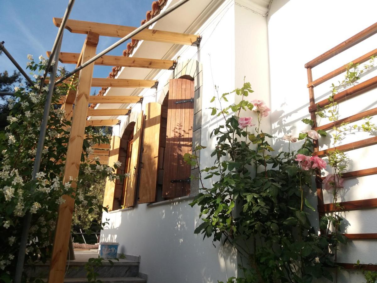 Το Σπίτι Με Το Πηγάδι - Wellcottage Thassos Skála Kallirákhis 외부 사진